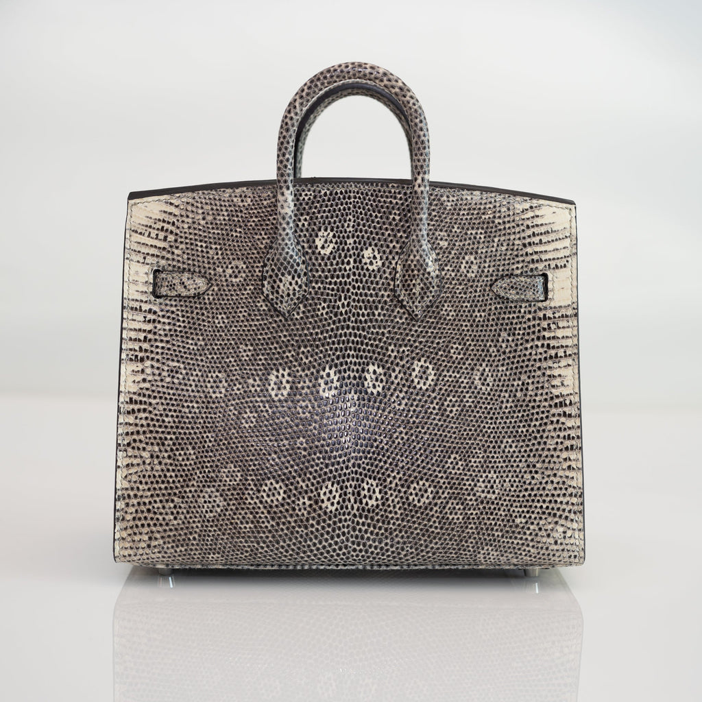 Hermès Birkin 20 Sellier Ombré Varanus Salvator Lizard Palladium Hardware