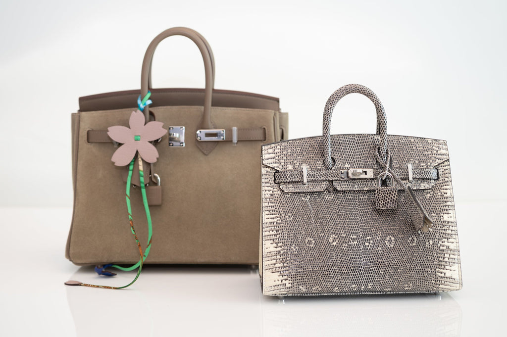 Hermès Birkin 20 Sellier Ombré Varanus Salvator Lizard Palladium Hardware