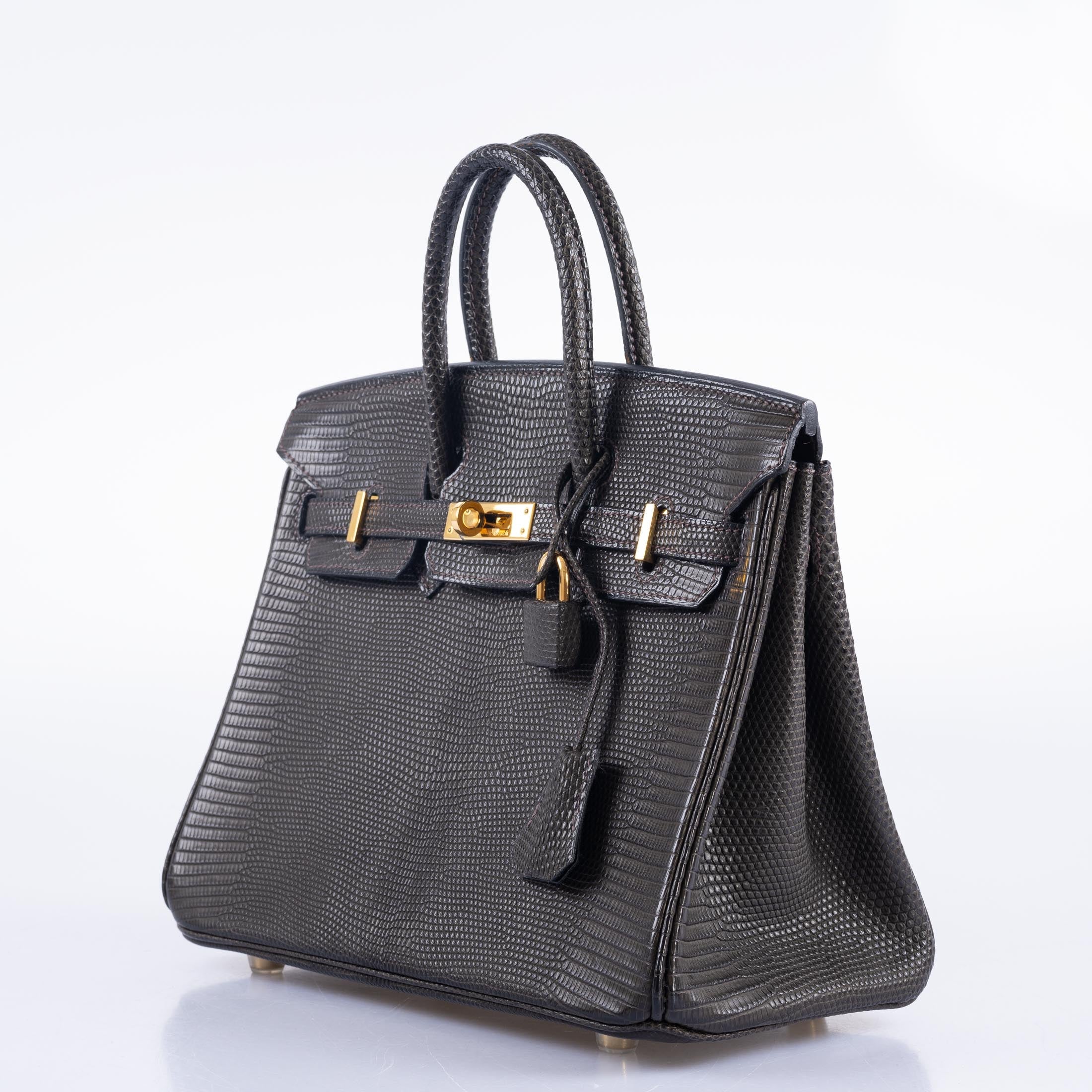 Hermès Birkin 25 Ebene Matte Salvator Lizard Gold Hardware