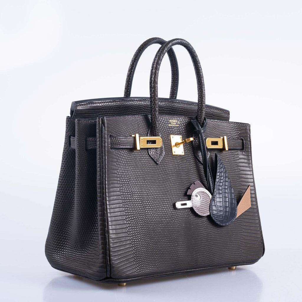 Hermès Birkin 25 Ebene Matte Salvator Lizard Gold Hardware