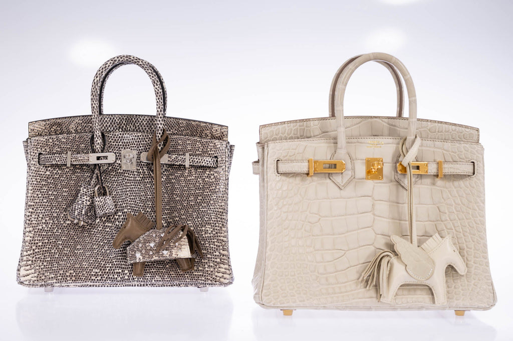 Hermès Birkin 25 Ombré Salvator Lizard Palladium Hardware