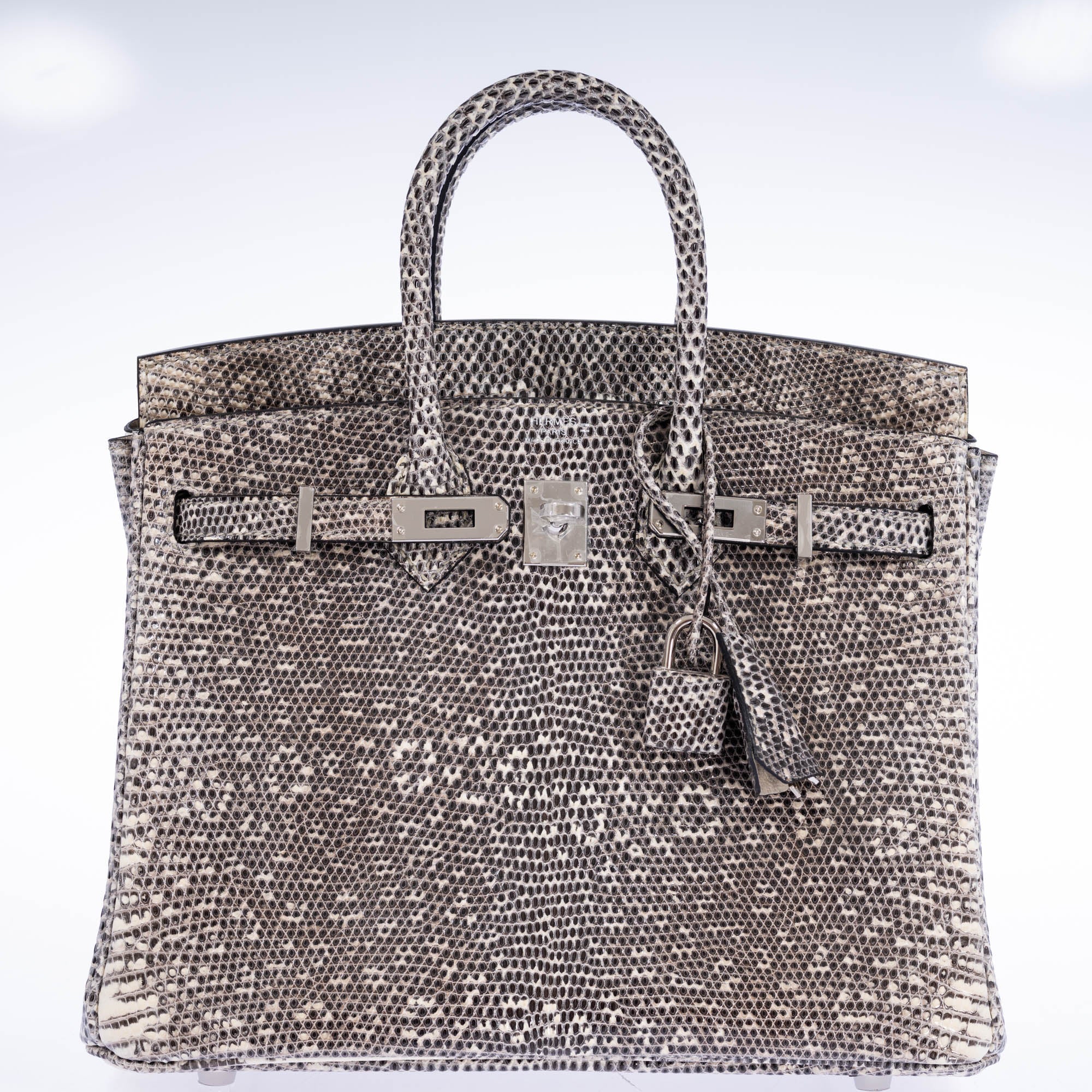 Hermès Birkin 25 Ombré Salvator Lizard Palladium Hardware