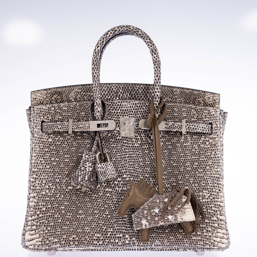 Hermès Birkin 25 Ombré Salvator Lizard Palladium Hardware