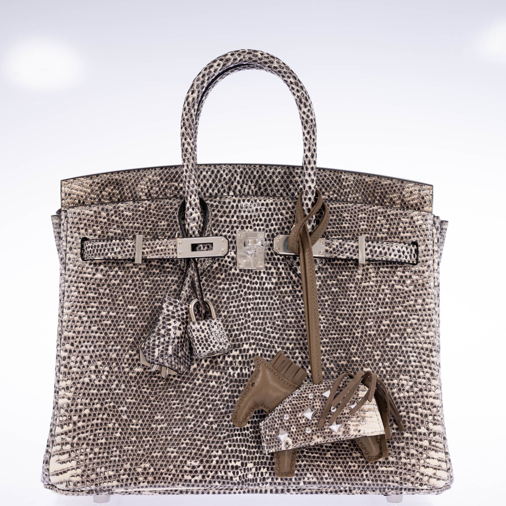 Hermès Birkin 25 Ombré Salvator Lizard Palladium Hardware
