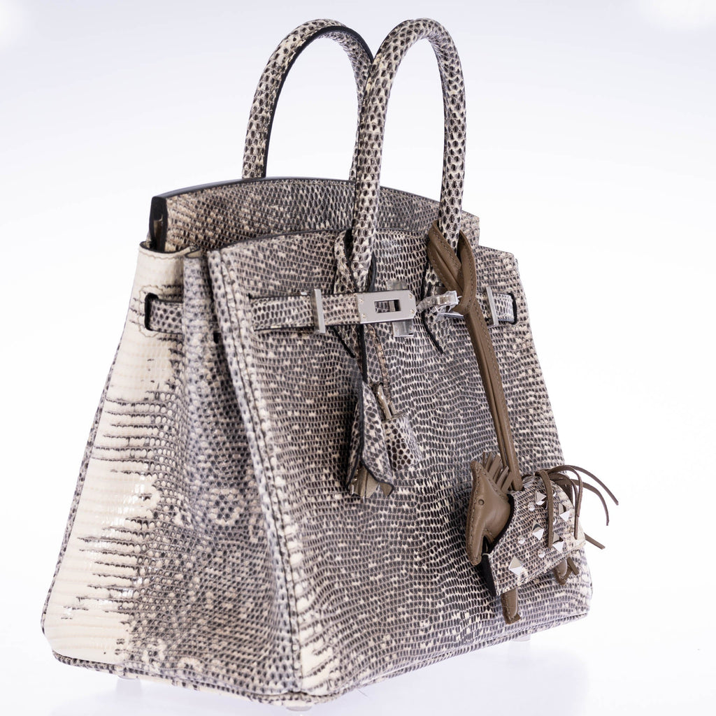 Hermès Birkin 25 Ombré Salvator Lizard Palladium Hardware