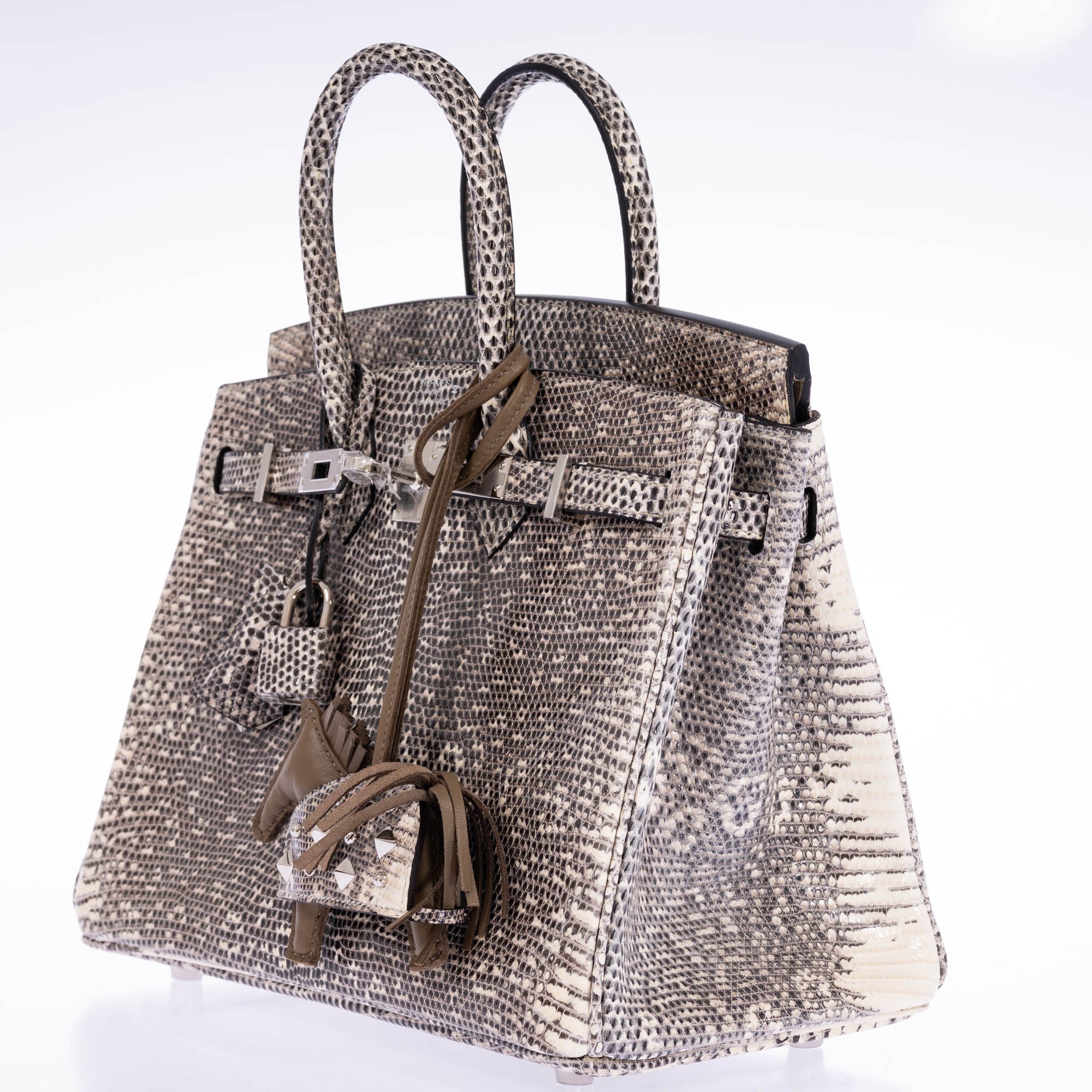 Hermès Birkin 25 Ombré Salvator Lizard Palladium Hardware