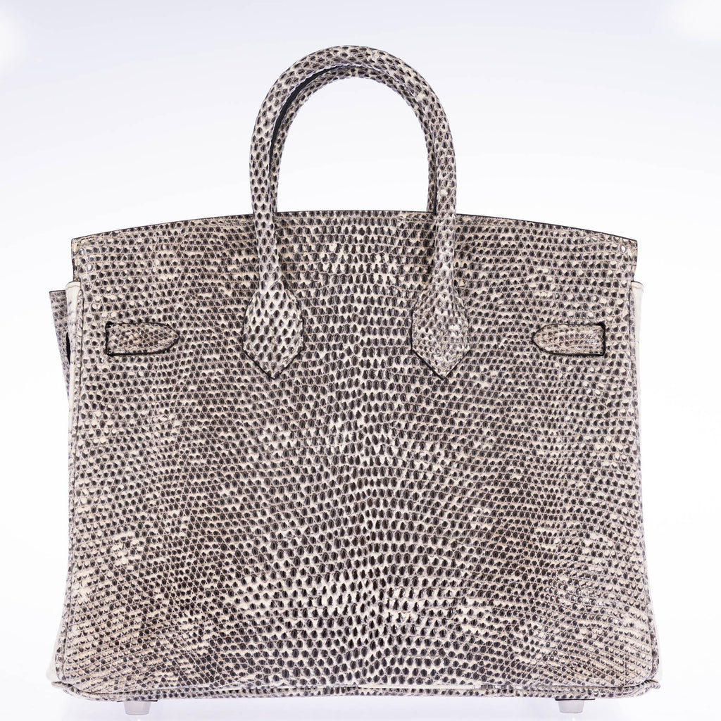 Hermès Birkin 25 Ombré Salvator Lizard Palladium Hardware