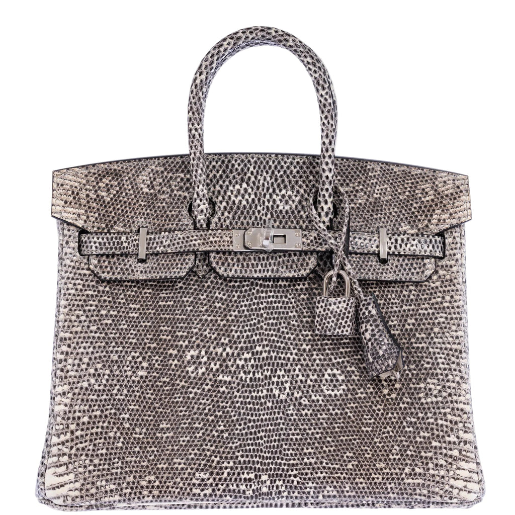 Hermès Birkin 25 Ombré Salvator Lizard Palladium Hardware