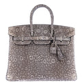 Hermès Birkin 25 Ombré Salvator Lizard Palladium Hardware