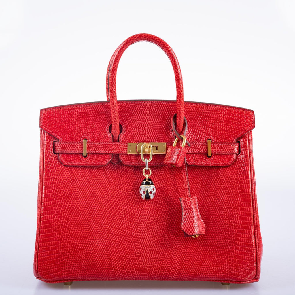 Hermès Birkin 25 Rouge Vif Salvator Lizard Gold Hardware