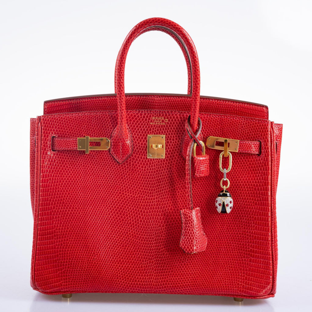 Hermès Birkin 25 Rouge Vif Salvator Lizard Gold Hardware